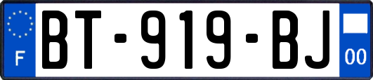 BT-919-BJ