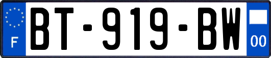 BT-919-BW