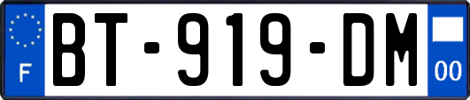 BT-919-DM