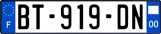 BT-919-DN