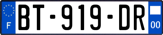 BT-919-DR