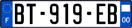 BT-919-EB