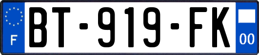 BT-919-FK