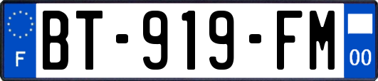 BT-919-FM