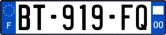 BT-919-FQ