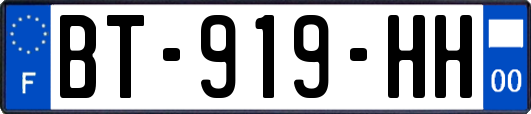 BT-919-HH