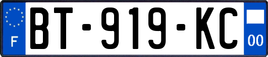 BT-919-KC