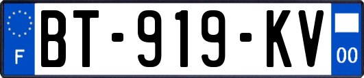 BT-919-KV