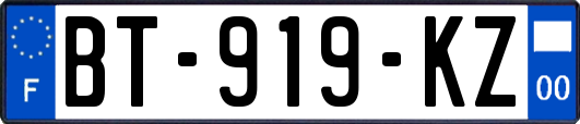 BT-919-KZ