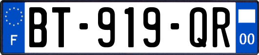 BT-919-QR