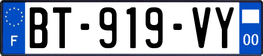 BT-919-VY