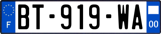 BT-919-WA