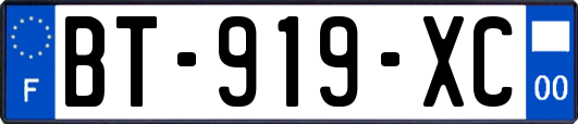 BT-919-XC