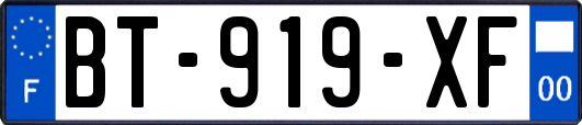 BT-919-XF