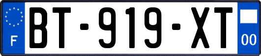 BT-919-XT