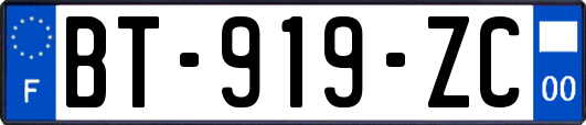 BT-919-ZC