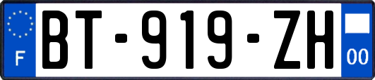 BT-919-ZH