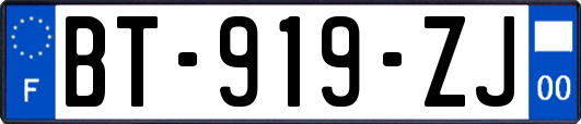 BT-919-ZJ