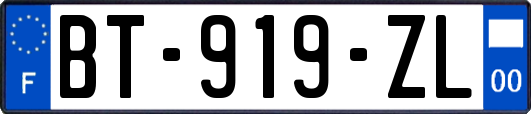 BT-919-ZL