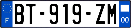 BT-919-ZM