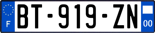 BT-919-ZN