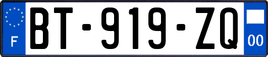 BT-919-ZQ