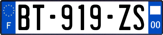 BT-919-ZS