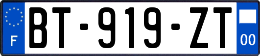 BT-919-ZT