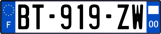 BT-919-ZW