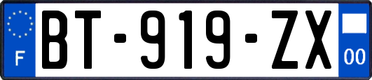 BT-919-ZX