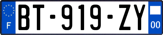 BT-919-ZY