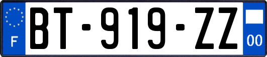 BT-919-ZZ