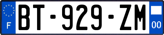 BT-929-ZM