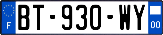 BT-930-WY