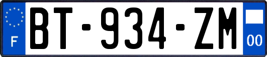 BT-934-ZM