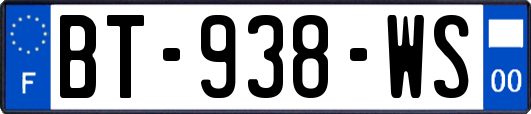 BT-938-WS