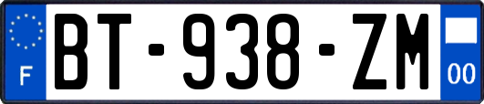 BT-938-ZM