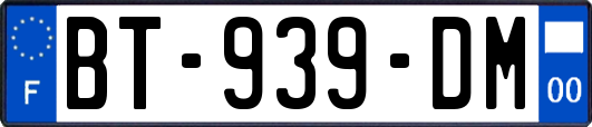 BT-939-DM