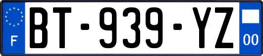 BT-939-YZ