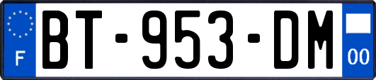 BT-953-DM