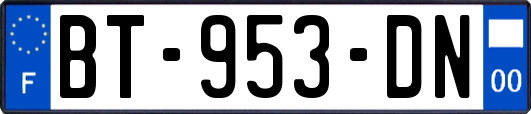 BT-953-DN