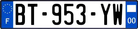 BT-953-YW