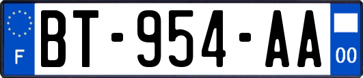 BT-954-AA