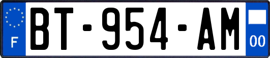 BT-954-AM