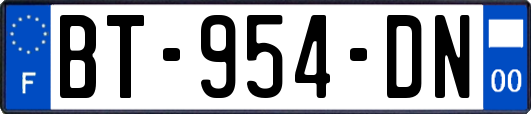 BT-954-DN