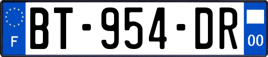 BT-954-DR