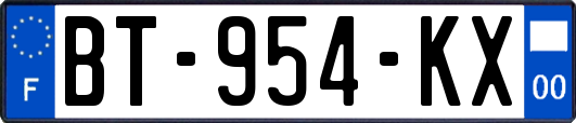 BT-954-KX