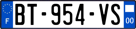 BT-954-VS