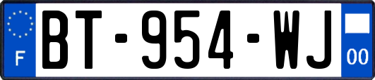 BT-954-WJ