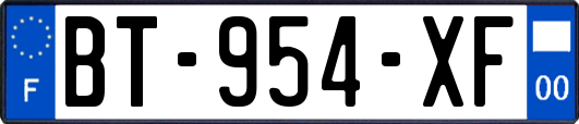 BT-954-XF